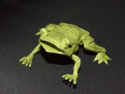 grenouille
