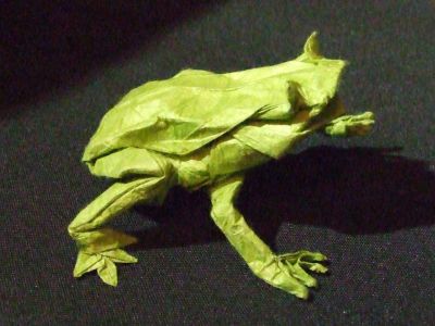 grenouille
