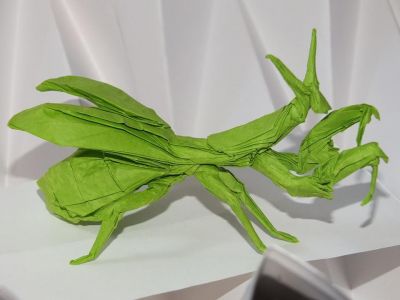 mantis_f.jpg