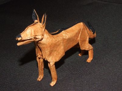 chien
