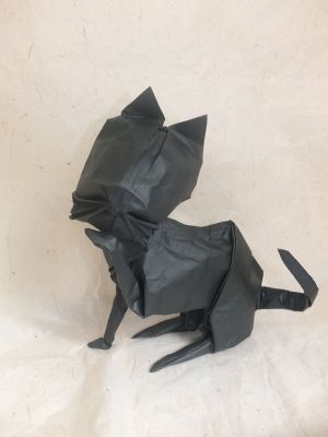 le chat
tete nouvelle version oct 15
