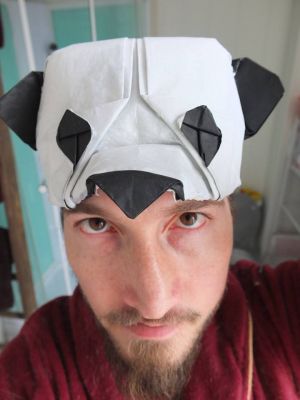 panda_2.jpg