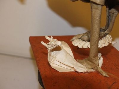 roitelion versus cobrafe
