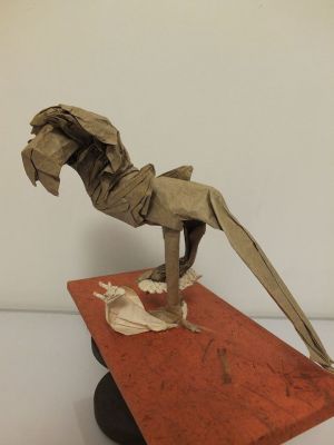 roitelion versus cobrafe

