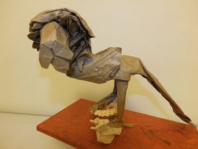 roitelion versus cobrafe
