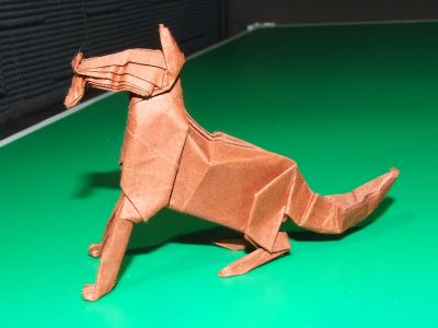 chien
