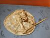 Nom du fichier=11165290_10204212193484425_5448402475686964085_n.jpg
Taille du fichier=175Ko
Dimensions : 960x720
Ajouté le : 14 Octobre 2015 11165290_10204212193484425_5448402475686964085_n.jpg