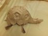 Eric_Joisel_tortue_28429.JPG