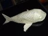 finish_koi_28329.JPG