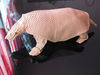 Nom du fichier=glyptodon.jpg
Taille du fichier=382Ko
Dimensions : 1024x768
Ajouté le : 06 Mai 2013 glyptodon.jpg