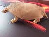Nom du fichier=glyptodon_2.jpg
Taille du fichier=458Ko
Dimensions : 1024x768
Ajouté le : 06 Mai 2013 glyptodon_2.jpg