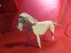 lion_28329.JPG