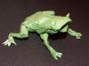 ma_grenouille_28329.JPG