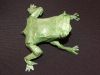 ma_grenouille_28429.JPG