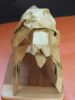 Nom du fichier=mon_lion_282029.JPG
Taille du fichier=267Ko
Dimensions : 1536x2048
Ajouté le : 12 Novembre 2015 mon_lion_282029.JPG