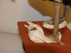 roitelion_versus_cobrafe_5~0.jpg