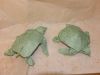 tortue_marine_28229.JPG