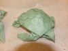 tortue_marine_28329.JPG
