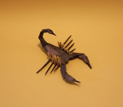 scorpion de Lang - pliage des pattes
