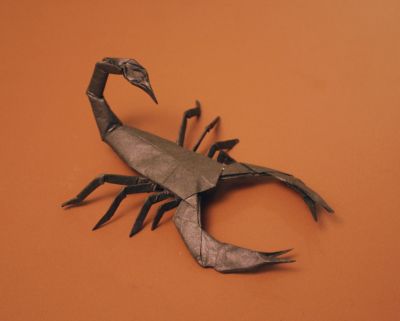 scorpion de Lang - vue de coté
