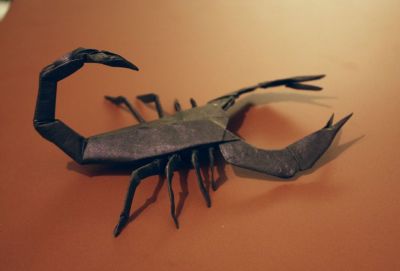 scorpion de Lang - vue arriere
