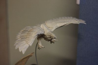 IMG_7763.JPG