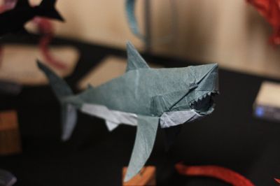 IMG_7773.JPG
