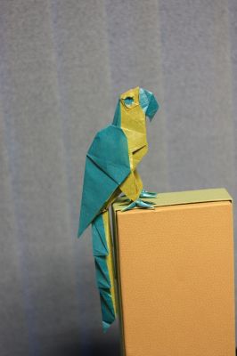 IMG_7781.JPG