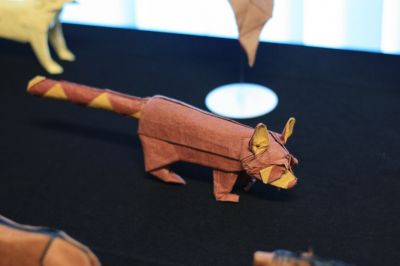 IMG_7813.JPG