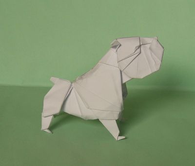 bulldog
créé par Quentin Trollip
plié à partir d 'un carré de 28cm de papier machine 80g
un pliage rapide pour un pote
un super diagramme, comme d'habitude avec Quentin Trollip
