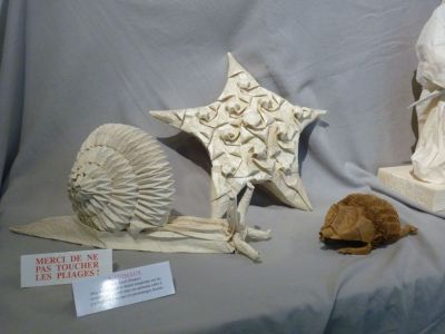animaux EJ
