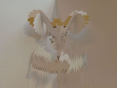 chouette chassant le lapin NS
