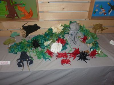 le fond de la mer
