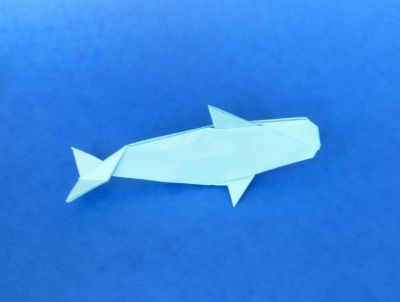 pilot whale
créé par Joseph Wu
plié dans un carré de 20cm
video-digramme simple fait par le créateur
sur le site papertheworld.com
