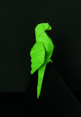 perroquet de Nicolas Terry
créé par N. Terry
plié dans un carré de 18cm de papier machine
premier essai
