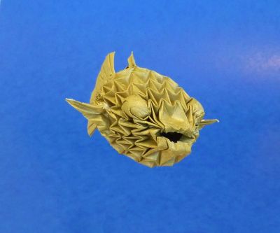 fugu
