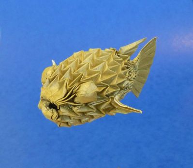 fugu face
