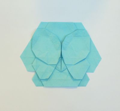 tessellation papillon
