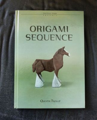 origami sequence
