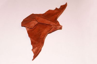 Big Brown Bat
Modèle de Michael Lafosse
Plié avec un carré de 21 cm de lamali rigidifié avec de la laque
