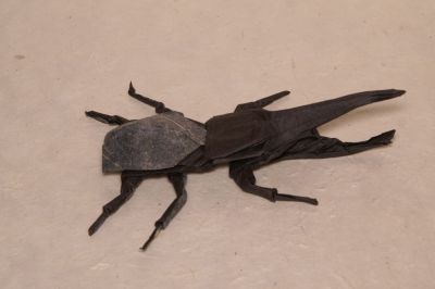 Hercule Beetle
Modèle de Robert Lang
Plié dans un carré de 30 cm de double soie-mc
