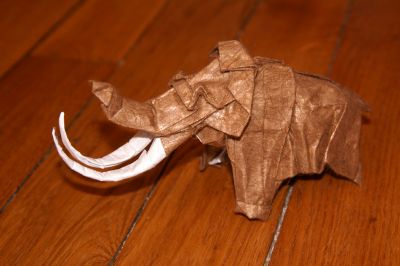 Mammuthus primigenius
Plié dans un carré de 40 centimètre de papier métallisé contrecollé à du papier de soie "fourrure"
Modéle créé par Satoshi Kamiya

