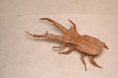Cyclommatus Metallifer
Créé par Satoshi Kamiya (version 2.0)
45 cm de triple soie+MC, wetfoldé
Diagramme dans Tanteidan Convention Book 12
