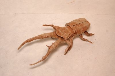 Cyclommatus Metallifer
Créé par Satoshi Kamiya (version 2.0)
45 cm de triple soie+MC, wetfoldé
Diagramme dans Tanteidan Convention Book 12
