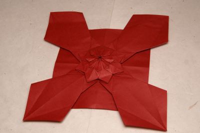 Motif octogonal
Plié dans un carré de 25 cm de tant
