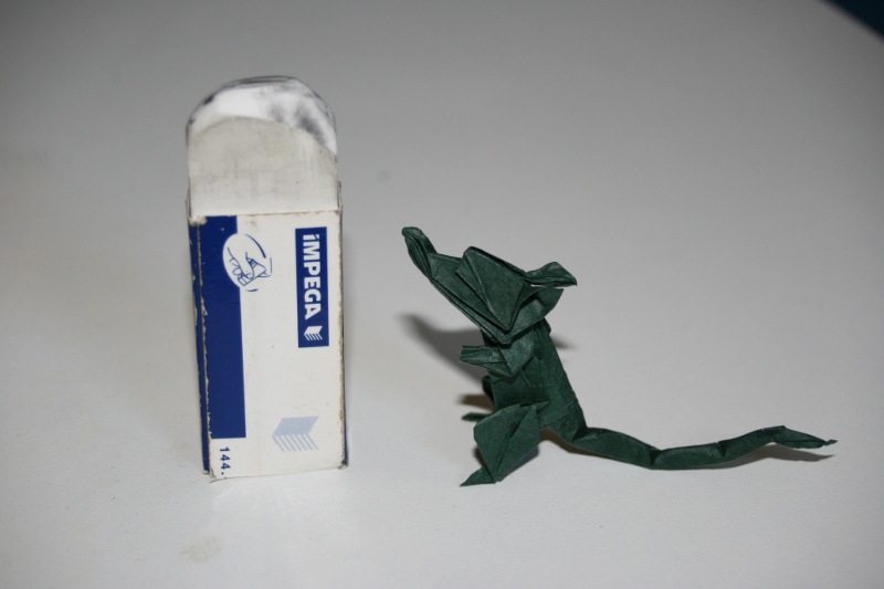 Eric Joisel - Rat2
Test de la séquence de pli dans une chute de papier de soie.
Mots-clés: Rat
