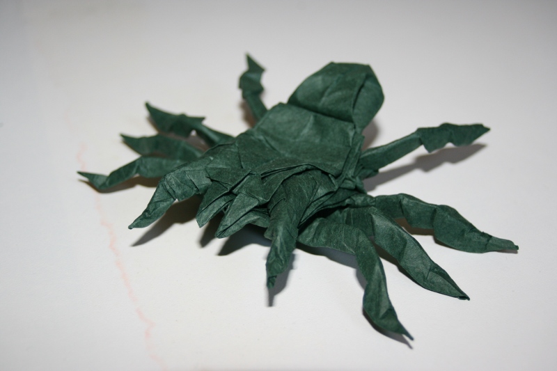 Robert Lang - Tarentula2
Premier essai de Tarentula

35x35 tissue foil
Mots-clés: Tarentula