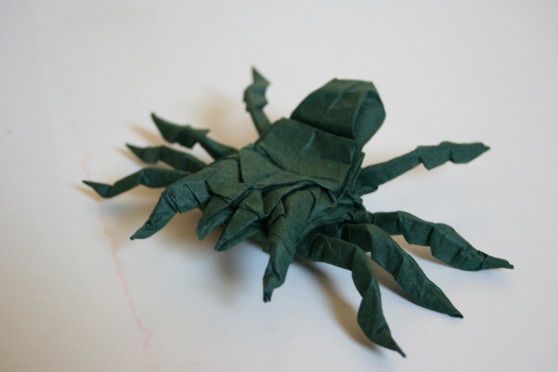Robert Lang - Tarentula3
Premier essai de Tarentula

35x35 tissue foil
Mots-clés: Tarentula
