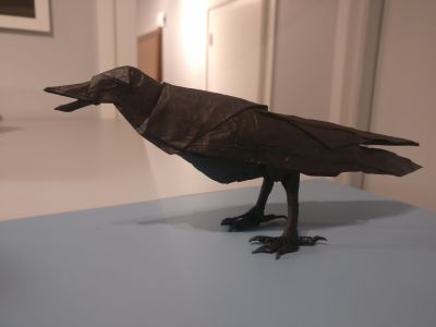 Crow - Brian Chan
