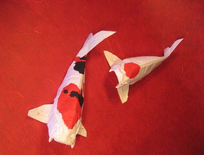 Couple de Carpes Koi
Modèle de de M. G. Lafosse, en papier blanc mûrier double traité au MC.
Mots-clés: poisson carpe koi tâche rouge noir MC mûrier Lafosse